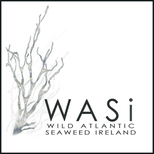 Wasi Seaweed Pesto - On the Pigs Back